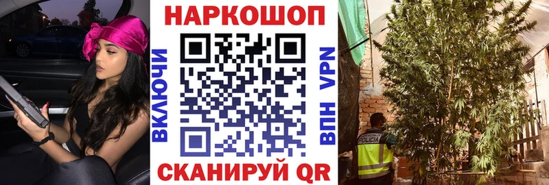 Виды наркотиков купить Дзержинский Кокаин  Меф мяу мяу  hydra ONION  Конопля  А ПВП 