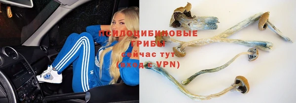гашик Алексеевка