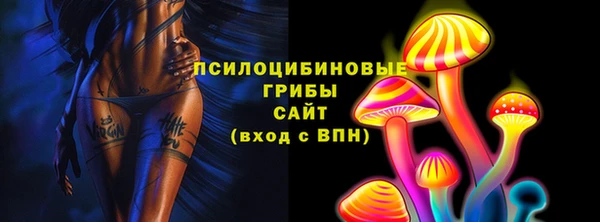 гашик Алексеевка