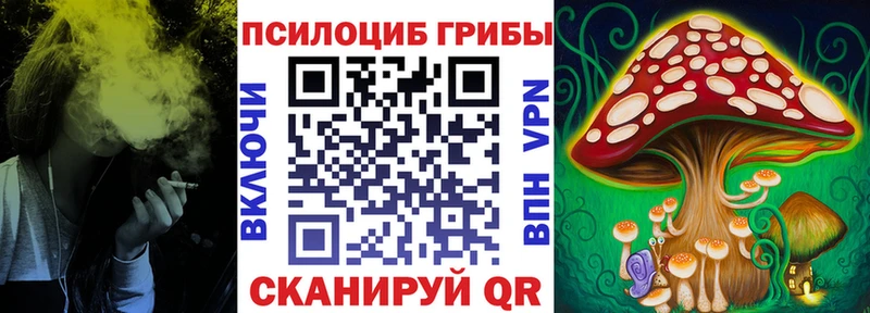 Галлюциногенные грибы Psilocybe  купить наркотик  mega ссылка  Дзержинский 
