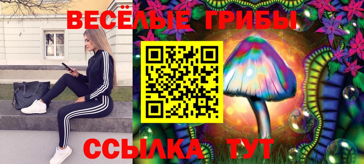 Дзержинский  Псилоцибиновые грибы прущие грибы  Вход с VPN 