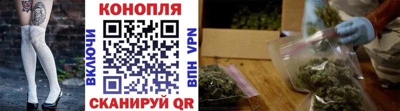 Конопля SATIVA & INDICA  мега ссылки  Дзержинский 
